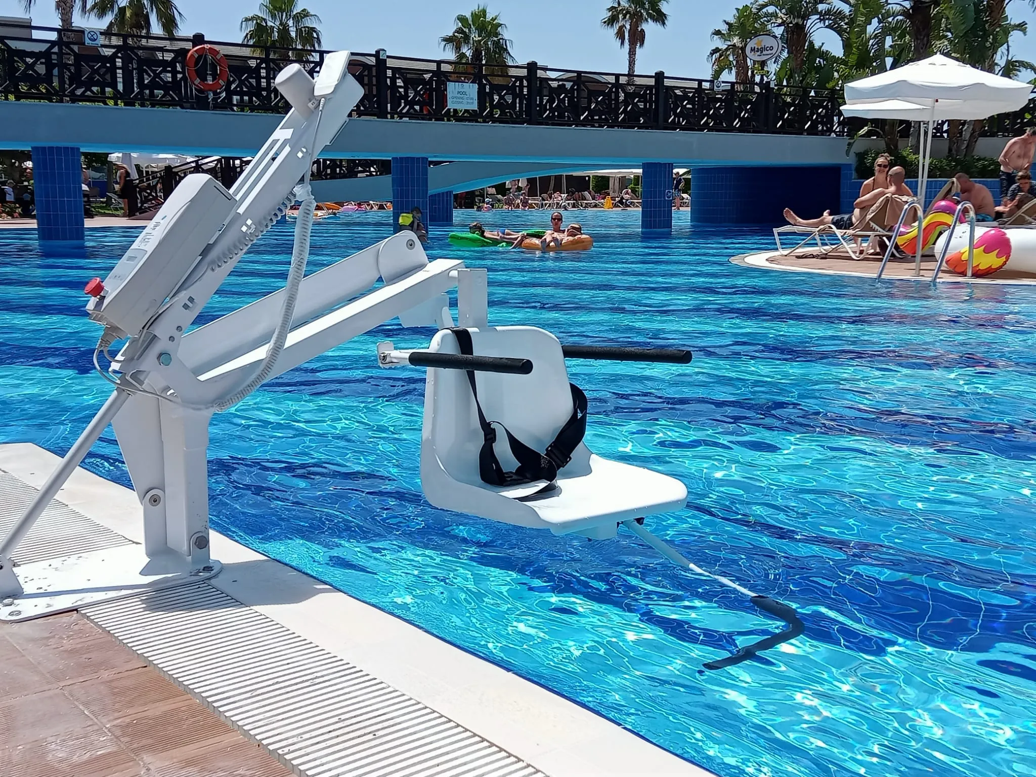 Jacaranda Tui Magic Life